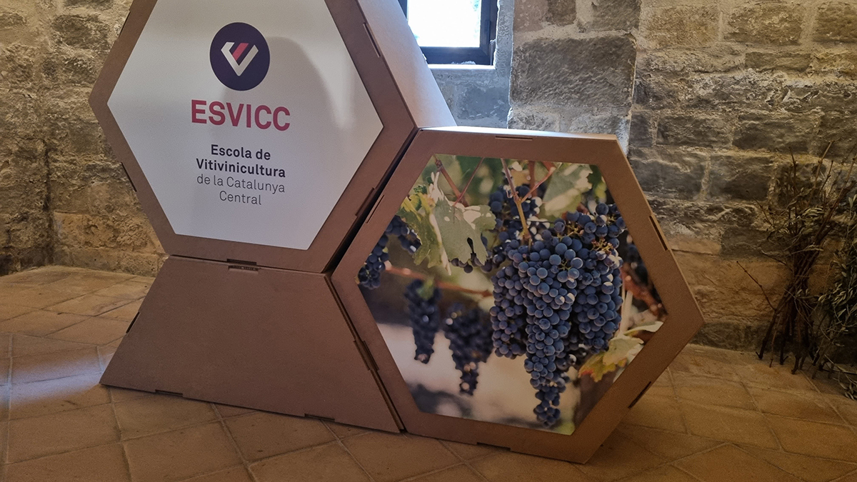 vedruna-artes-viticultura-02