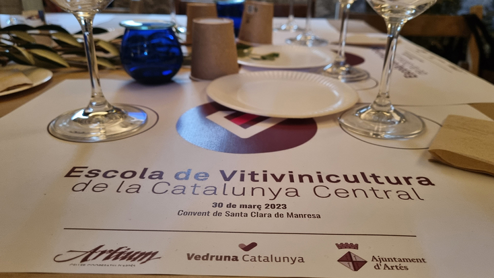 vedruna-artes-viticultura-05