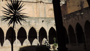 El claustre de la Catedral de Tortosa, amb Joan Hilari Muñoz