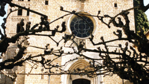 Desperta el Patrimoni al monestir de Sant Salvador de Breda