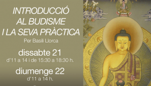 Introducció al budisme i la seva pràctica