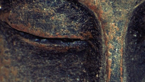 Curs: El Buddhisme 