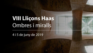 Ombres i miralls. VIII Lliçons Haas