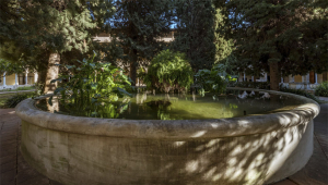 Silenciament d’estiu. Meditació zen al claustre de Pedralbes