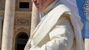 El Papa condemna el "vici repugnant" dels que confonen "fer l'amor amb esplaiar els propis instints"