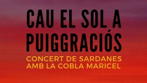 Concert de sardanes al Santuari de Puiggraciós