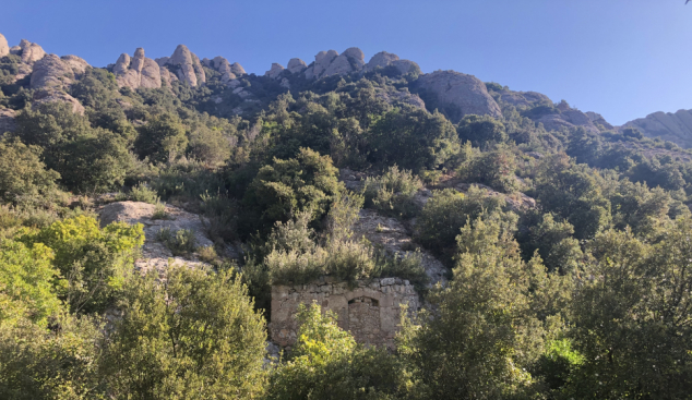 Un passeig pel món eremític de Montserrat