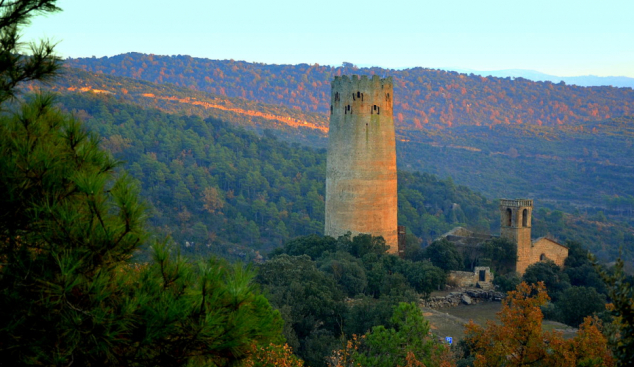 Entre Hildegarda i la Torre de Vallferosa