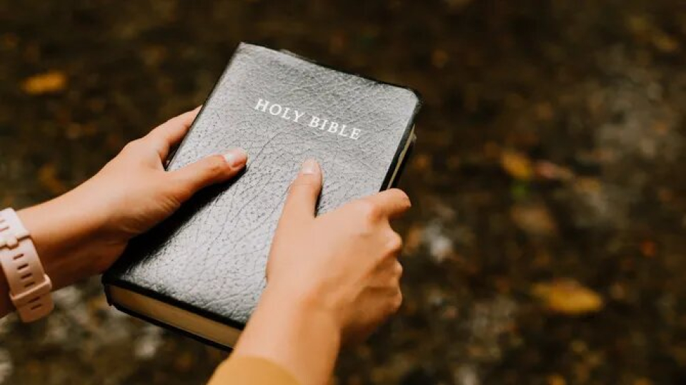 biblia-pornografica