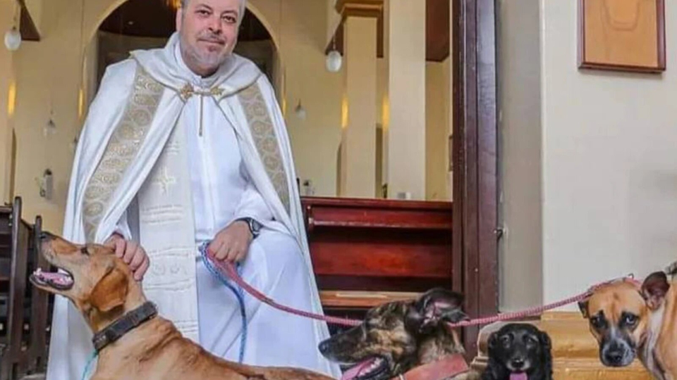 sacerdot-gossos
